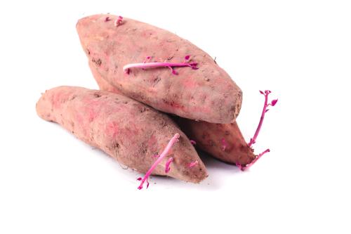 鮮嫩蔬菜送到家，廈門配送服務