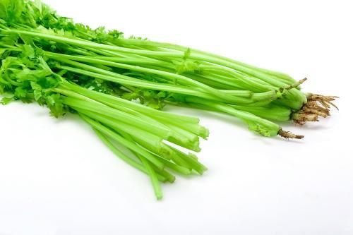 令人驚喜的鄭州蔬菜配送服務(wù)!